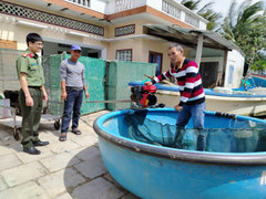 Những chiếc thúng chai cứu người giữa lũ dữ tại Đắk Lắk