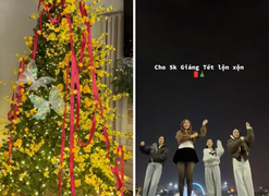 Hài hước trào lưu 'Giáng Xuân' trộn Noel với Tết, dân mạng xem là cười 