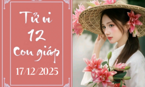 Tử vi 12 con giáp hôm nay ngày 17/12/2025: Mùi muộn phiền, Thìn phòng tiểu nhân 