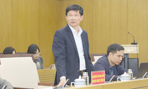 Hải Phòng có một người tự ứng cử đại biểu Quốc hội khóa XVI 