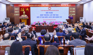 Cơ cấu chi tiết người ở các cơ quan Trung ương được giới thiệu ĐBQH khóa XVI