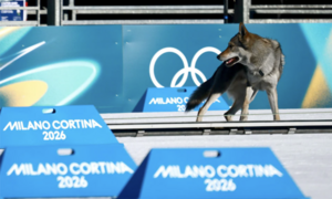 Cập nhật bảng tổng sắp huy chương Thế vận hội Mùa đông 2026 ngày 22/2: Na Uy bỏ xa Mỹ