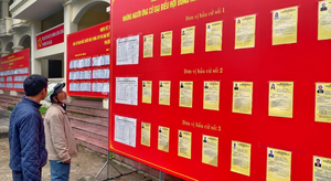  Huế rực rỡ cờ hoa, mừng ngày hội toàn dân đi bầu cử