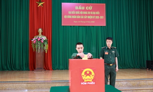 100% cử tri hoàn thành bỏ phiếu tại 5 điểm bầu cử sớm ở Lâm Đồng