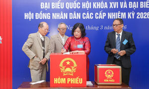 Người ứng cử đại biểu Quốc hội được quyền chứng kiến việc kiểm phiếu bầu