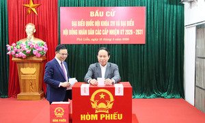 Danh sách 85 người trúng cử đại biểu HĐND TP Hải Phòng nhiệm kỳ 2026 – 2031