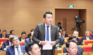 Những điều đặc biệt của cuộc bầu cử đại biểu Quốc hội khóa XVI và HĐND các cấp