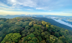 Vườn quốc gia Bidoup - Núi Bà: 'Lá phổi xanh' của cao nguyên Lâm Đồng