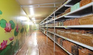 Lý do hơn 1.800 bộ tro cốt vô danh đặt tạm trong nghĩa trang ở Hải Phòng