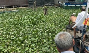 Tìm thấy thi thể 2 nạn nhân rơi xuống sông sau tiệc sinh nhật trên tàu du lịch