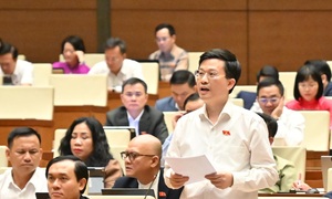 Xây dựng hệ sinh thái phát triển các doanh nghiệp nội địa 'xương sống'