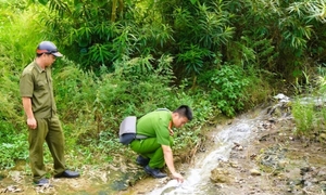 Cục Cảnh sát môi trường vào cuộc vụ nước giếng khoan đổi màu tím ở Thanh Hóa