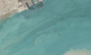 Ảnh vệ tinh phơi bày thảm hoạ dầu loang do xung đột Trung Đông