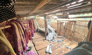 Mưa lớn kèm giông lốc gây nhiều thiệt hại tại Điện Biên