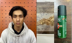 Bắt thanh niên dùng xịt hơi cay để giật dây chuyền vàng của chủ tiệm tạp hóa 