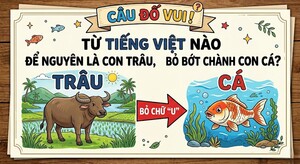 Từ tiếng Việt nào để nguyên là con trâu, bỏ bớt chữ thành con cá? 
