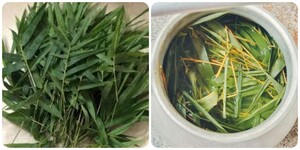 Uống nước lá tre gai có tác dụng gì?