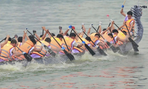 Mãn nhãn màn tranh tài bơi chải ở Lễ hội Đền Hùng