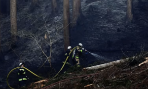 Cháy rừng tại Nhật Bản khiến 3.000 người sơ tán, lính cứu hỏa căng mình dập lửa