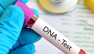 Cô gái lạ dắt đứa trẻ và giấy xét nghiệm ADN đến nhận cha khi chồng tôi vừa mất