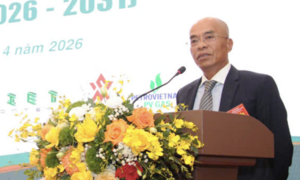 Tân Chủ tịch LĐ Bóng chuyền Việt Nam: Thu 23-25 tỷ đồng/năm là mức khiêm tốn