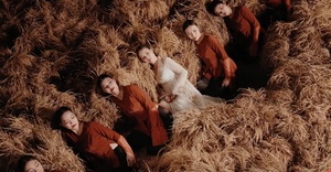 Câu hát 'Lúa chín cao nhưng chẳng hề cúi đầu' gây tranh cãi, nhạc sĩ nói gì?