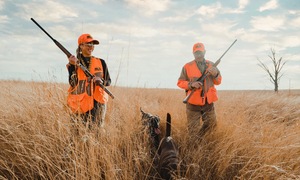 Vì sao Mỹ cho phép săn bắn động vật hoang dã?