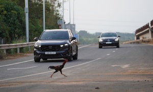 Cao tốc Biên Hòa – Vũng Tàu đón những phương tiện đầu tiên