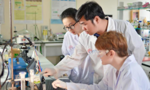 Bộ GD&ĐT dự kiến cấp học bổng 37-84 triệu đồng/năm cho 15 ngành chiến lược