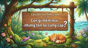 Giải mã câu đố dân gian: Con gì mềm mại nhưng tên lại cứng cáp?