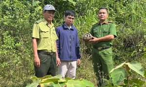 Thấy tê tê quý hiếm nằm bên lề đường, nam công nhân ở Đà Nẵng giao nộp công an