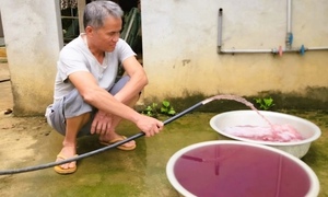 Giếng nước khoan đổi màu tím ở Thanh Hoá: Nhiều chỉ số vượt xa quy chuẩn