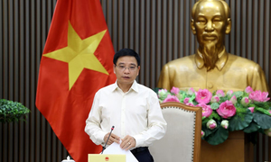 Sắp giao chỉ tiêu tăng trưởng cho từng địa phương, doanh nghiệp nhà nước