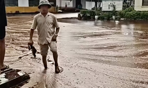 Tạm dừng lấy nước thô từ sông Lam sau sự cố tràn 2.000 tấn mật mía