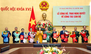 9 Phó Chủ nhiệm Ủy ban của Quốc hội nghỉ hưu