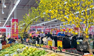 Chưa đến Tết Đinh Mùi 2027, TP.HCM đã sớm bình ổn thị trường