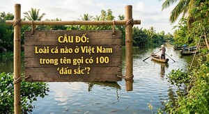Loài cá nào ở Việt Nam trong tên gọi có 100 'dấu sắc'?