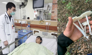 Suy đa tạng vì ăn nấm hái trong rừng