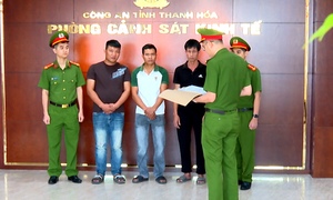 Mua bán lợn nhiễm tả châu Phi về giết mổ bán ra thị trường, 3 người bị khởi tố