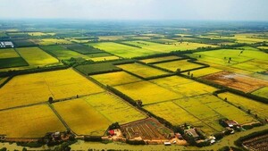 Sửa Luật Đất đai: Hết thời đầu cơ, gom đất để đón đền bù?
