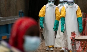 WHO cảnh báo khẩn cấp bùng dịch Ebola: Bộ Y tế khuyến cáo gì?