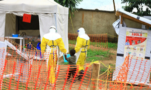 87 người chết vì dịch Ebola bùng phát tại Congo