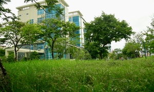 Bên trong khu nhà đất gần 20.000 m2 bỏ hoang chuẩn bị làm trụ sở UBND TP Huế
