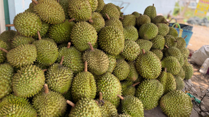 Cadimi khiến 'vua trái cây' Việt Nam lao đao trên thị trường xuất khẩu