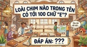 Loài chim nào trong tên có tới 100 chữ 'E'?