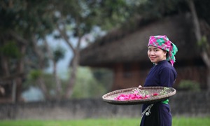 Những người phụ nữ vùng cao đổi đời nhờ công nghệ số