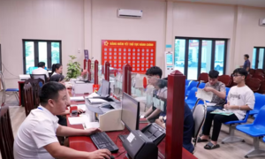 Chính phủ tiếp tục cắt giảm một loạt thủ tục, điều kiện kinh doanh trong 11 ngành, lĩnh vực