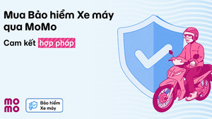 Những lưu ý cần nắm rõ về bảo hiểm xe máy điện tử theo quy định mới nhất 2026