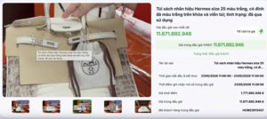 Đấu giá thành công 2 túi Hermès bạch tạng của Trương Mỹ Lan, thu hơn 14 tỷ đồng