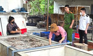 Phát hiện hơn 3 tấn lòng lợn thối chuẩn bị tiêu thụ tại Bắc Ninh